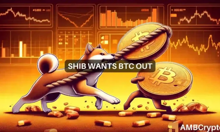 shib bitcoin news 1000x600