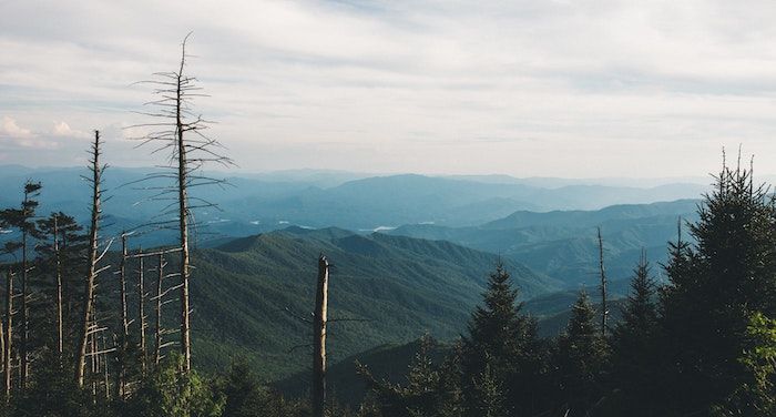 image of appalachian landscape.jpg.optimal