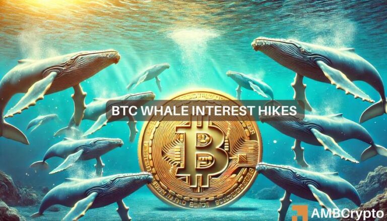 Bitcoin whales