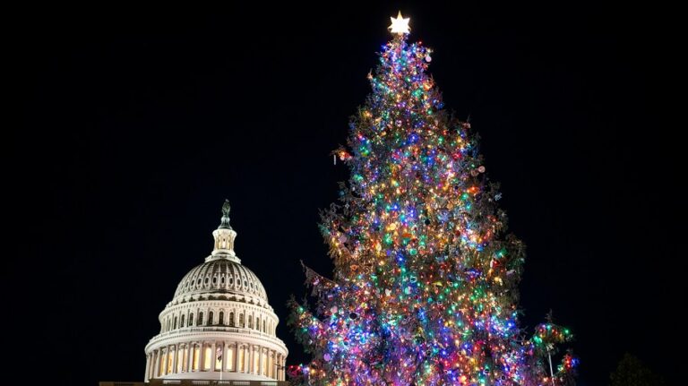 capitol christmas tree 120324gn07 w