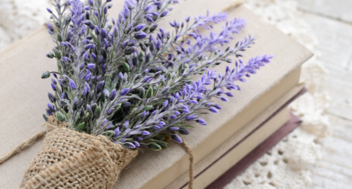 book bundle